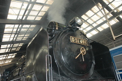 d51