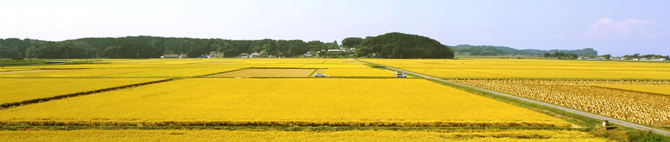 �{�錧�������z�[���y�[�W