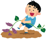 さつま芋掘り