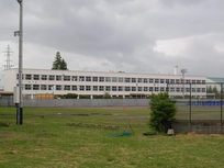 cwZ